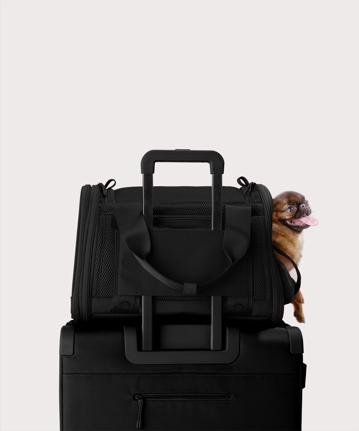 Kyoto Pet Carrier in Onyx. Small - Image 7